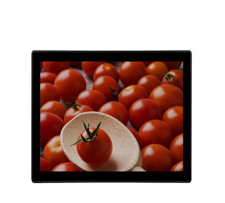 19 &quot; 산업적 터치 스크린 모니터 VGA DVI 입력 키오스크는 LCD 모니터를 방수 처리합니다