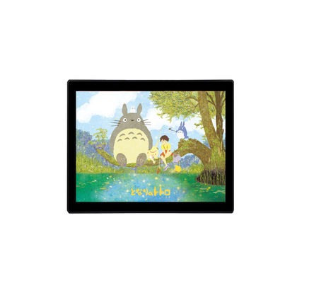 DC 12V3A 19 인치 산업적 LCD 모니터 방수 LCD 모니터 ROHS